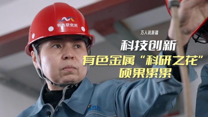 医疗数据服务方案分类：探索高效信息管理之道